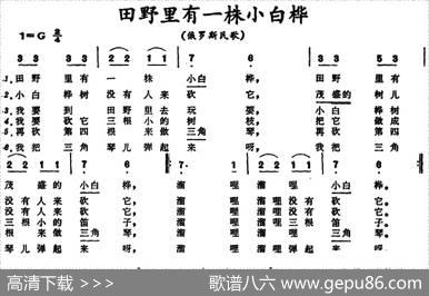 [俄罗斯]田野里有一株小白桦