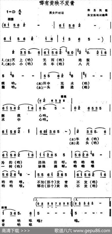 哪有黄秧不发青（安徽和县民歌） - 朱宝强填词|朱宝强编曲