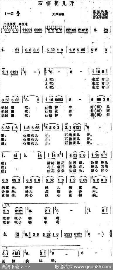 石榴花儿开（安徽定远民歌） - 王文忠填词