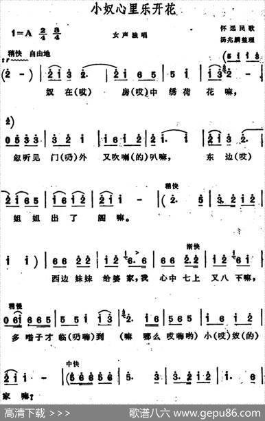 小奴心里乐开花（安徽怀远民歌）