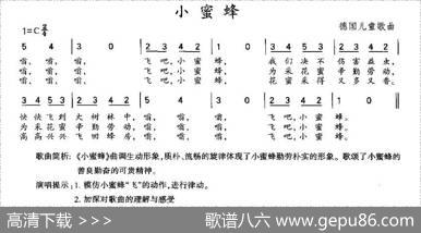[德]小蜜蜂