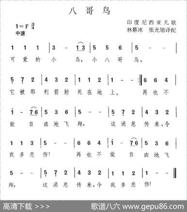 八哥鸟（印尼）