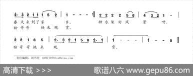 杜鹃花儿鲜 - 康良国|康良国