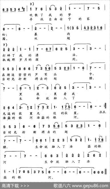 黑天鹅