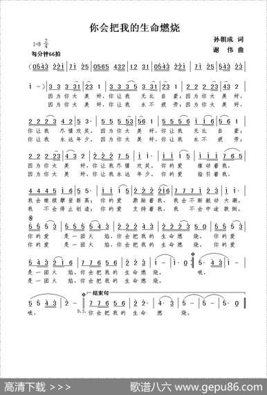 你会把我的生命燃烧（孙朝成词谢伟曲） - 孙朝成|谢伟