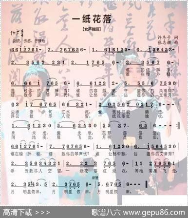 一纸花落 - 许冬子|张志耕