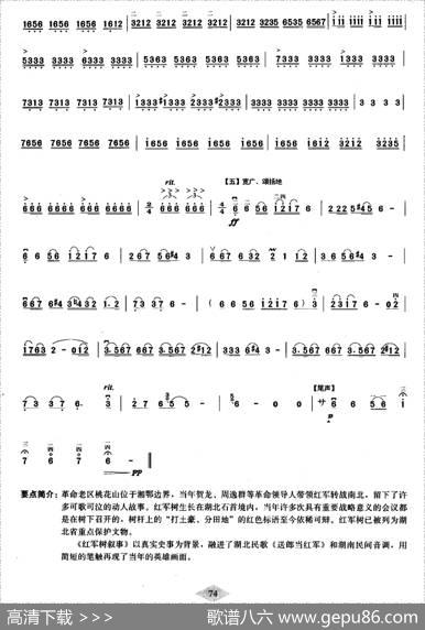 红军树叙事|张重武