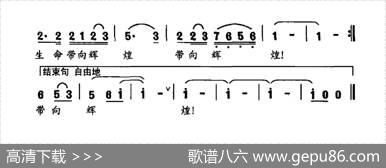 金贝嘉之歌 - 谈焱焱|杨军