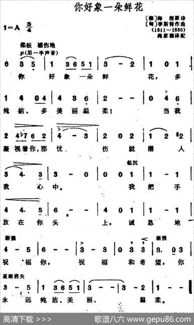 [匈、德]你好像一朵鲜花 - [德]海涅作词、尚家骧译配|[匈]李斯特