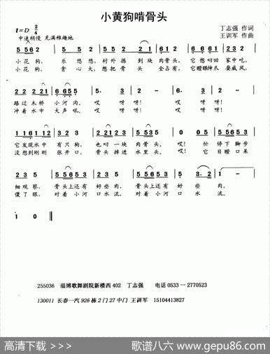 小黄狗抢骨头 - 丁志强|王训军