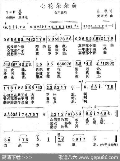心花朵朵美 - 晨枫|楚兴元