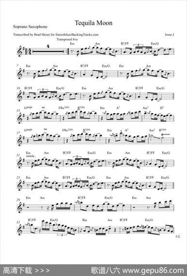 TequilaMoon（高音萨克斯）