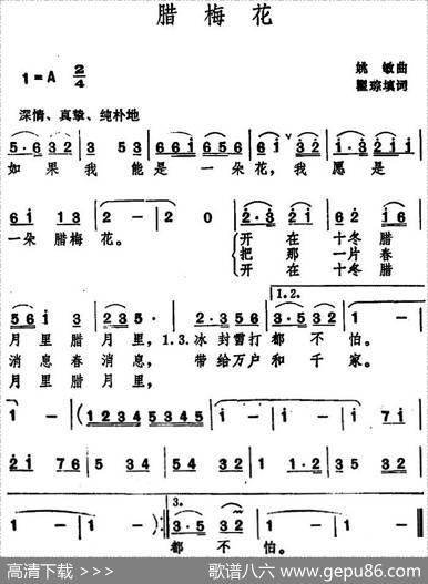 腊梅花（瞿琮填词姚敏曲） - 瞿琮填词|姚敏
