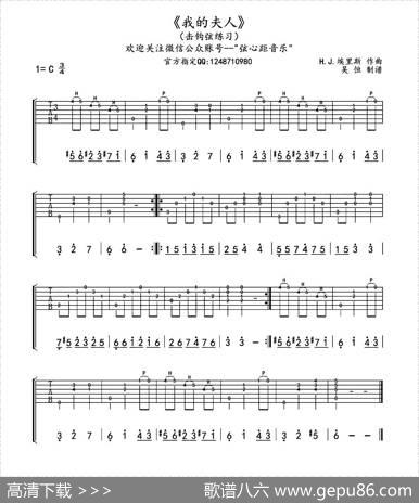 我的夫人|埃里斯