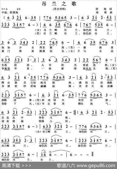 吊兰之歌 - 培地|绿歌