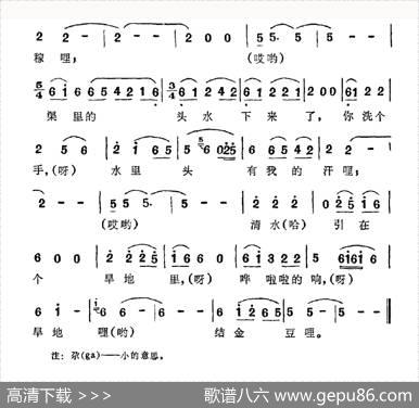 旱地里结金豆哩（撒拉族“花儿”）