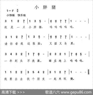 小胖猪