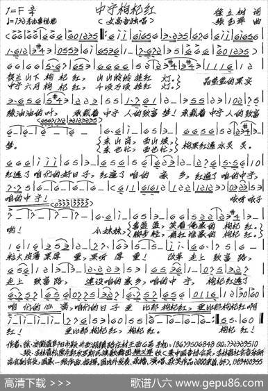 中宁枸杞红（徐立树词张艺军曲） - 徐立树|张艺军