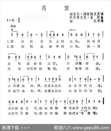 愿望 - 斯台凡·维特维茨基|肖邦