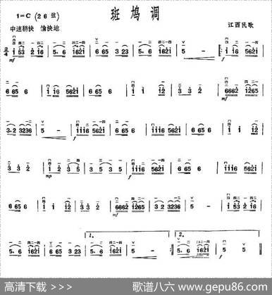 斑鸠调
