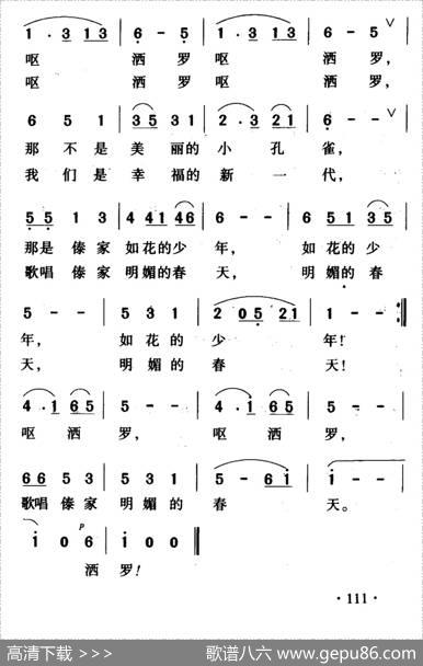 瑞丽江边的小孔雀 - 曹永庆|艾品