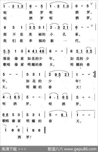 瑞丽江边的小孔雀 - 曹永庆|艾品