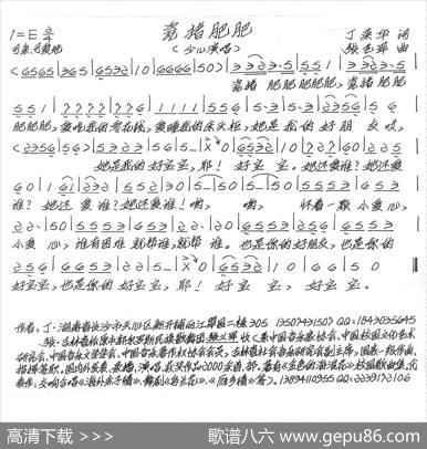 瓷猪肥肥 - 丁荣华|张艺军