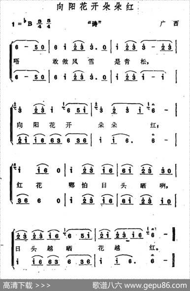 向阳花开朵朵红|广西壮族民歌