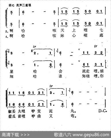 情歌对唱（广西壮族民歌）|广西壮族民歌