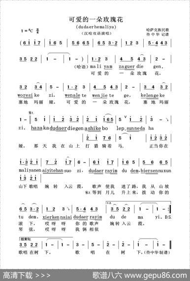 可爱的一朵玫瑰花（汉哈双语演唱）