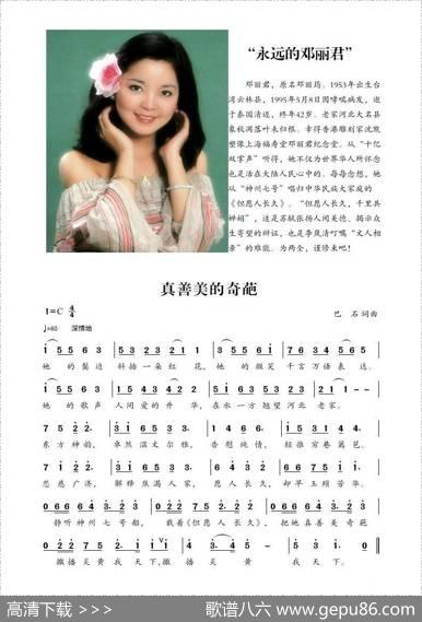真善美的奇葩（纪念邓丽君） - 巴石|巴石