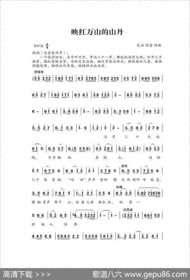 映红万山的山丹（纪念万丹） - 巴石|巴石