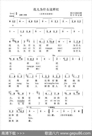 花儿为什么这样红（汉塔双语演唱）