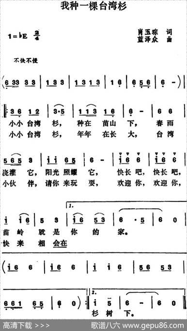 我种一棵台湾杉 - 肖玉琮|蓝泽众
