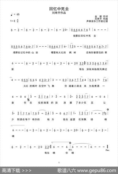 回忆中死去 - 金新|刘寿平