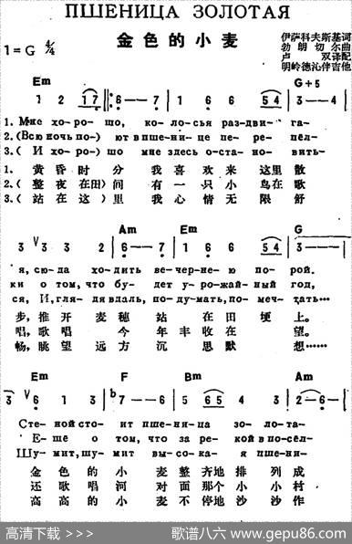 [前苏联]金色的小麦（中俄文对照） - 伊萨科夫斯基作词、卢双译配|勃朗切尔