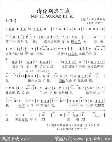 请你别忘了我（意）