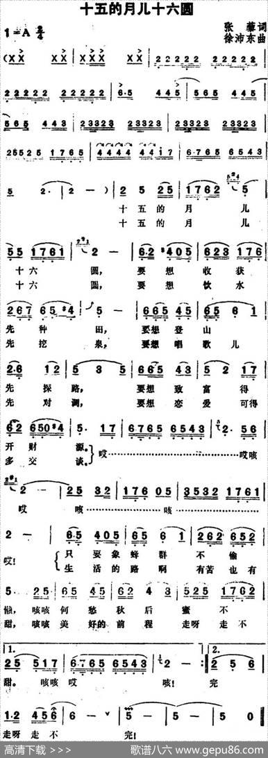 十五的月儿十六圆 - 张藜|徐沛东