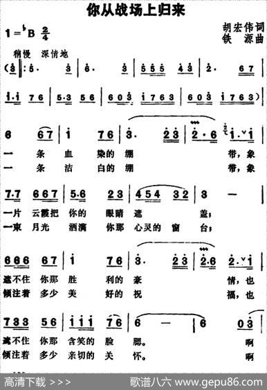 你从战场上归来 - 胡宏伟|铁源