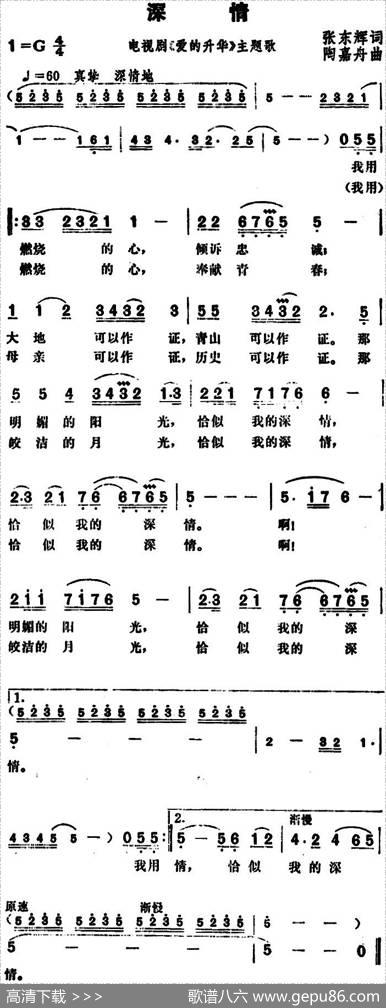 深情（张东辉词陶嘉舟曲） - 张东辉|陶嘉舟