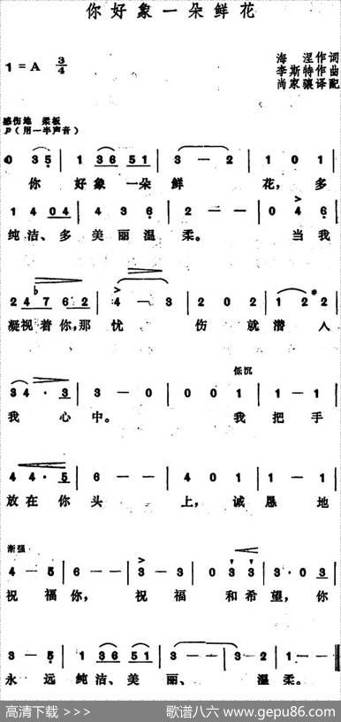 [匈]你好象一朵鲜花 - 海涅作词、尚家骧译配|李斯特
