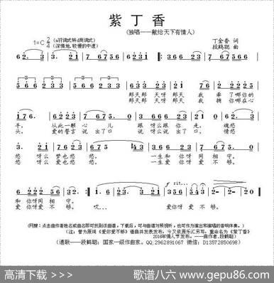 紫丁香（丁金香词段鹤聪曲） - 丁金香|段鹤聪