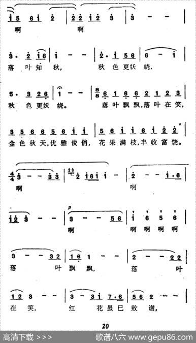 落叶在笑（张藜词晓野曲） - 张藜|晓野