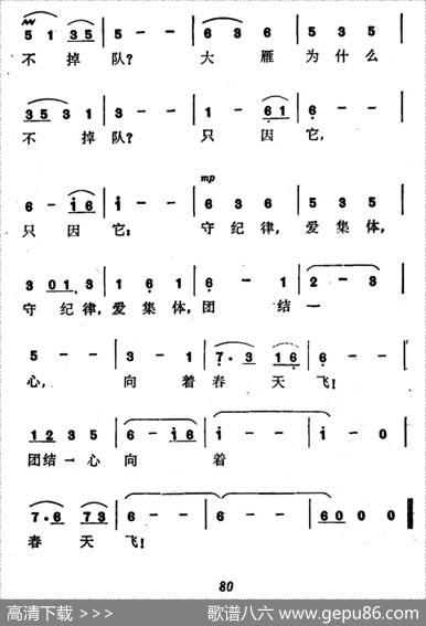 大雁为什么不掉队 - 黎耘|农礼生
