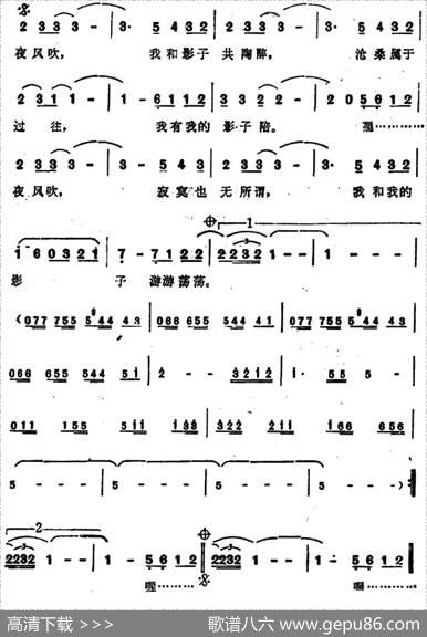 我和我自己的影子 - 陈桂珠|小虫
