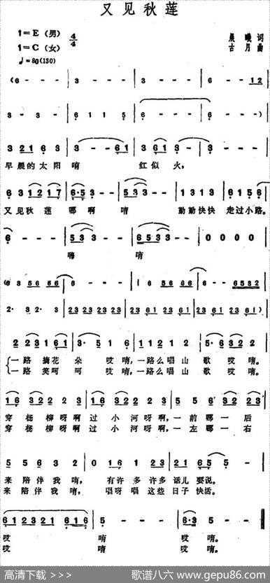 又见秋莲 - 晨曦|古月