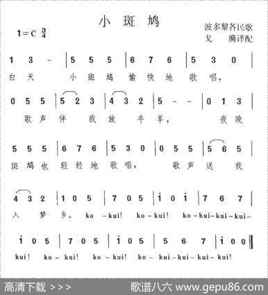 小斑鸠（波多黎各）