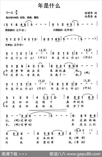 年是什么（齐唱） - 徐增华|孙厚存