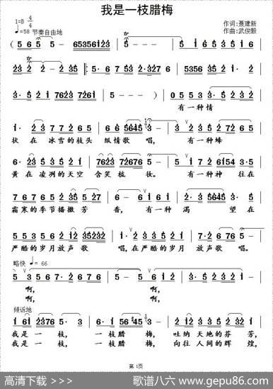 我是一枝腊梅（聂建新词武俊毅曲） - 聂建新|武俊毅