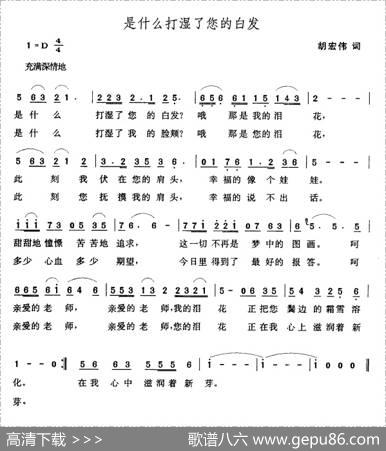 是什么打湿了您的白发 - 胡宏伟|张玉晶